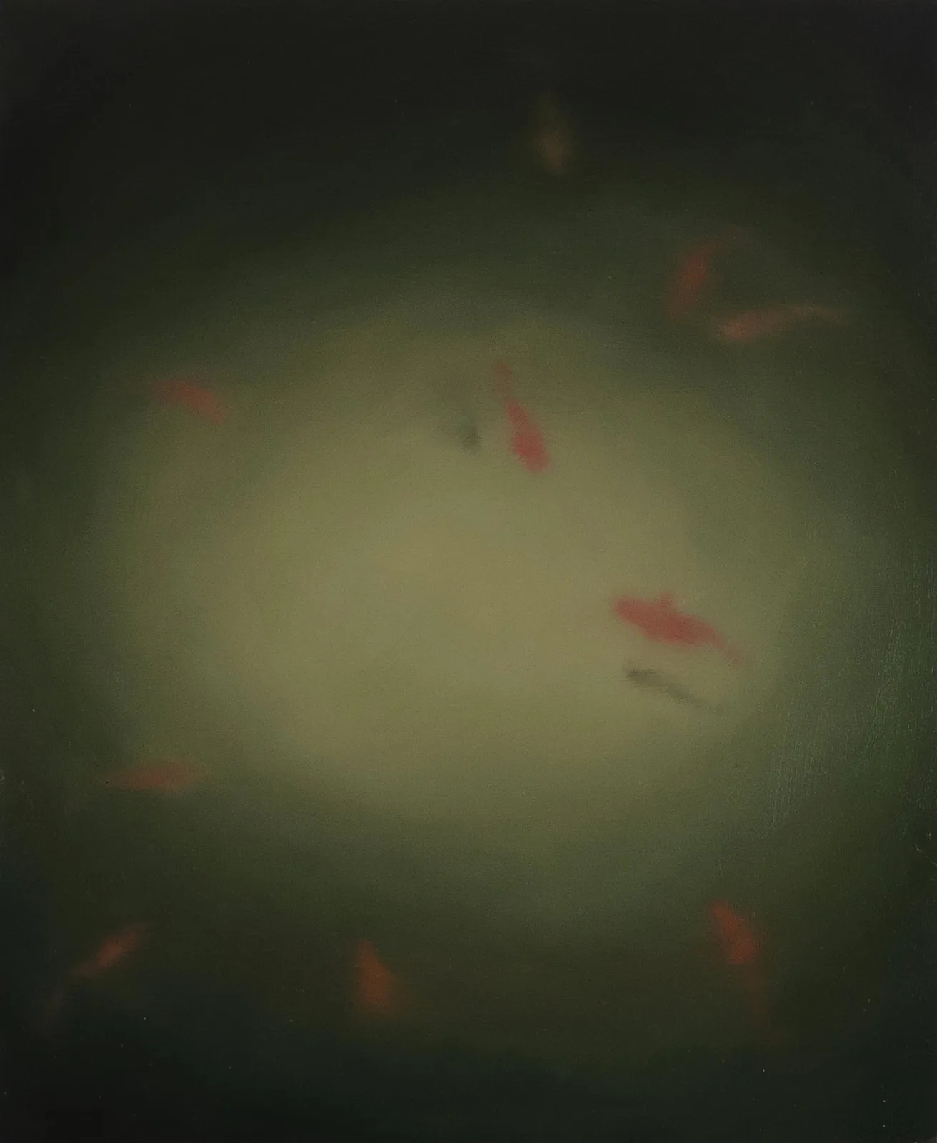 Linda Carrara, In fondo al pozzo, 2020. Oil on canvas · 55.5 × 45.5 cm