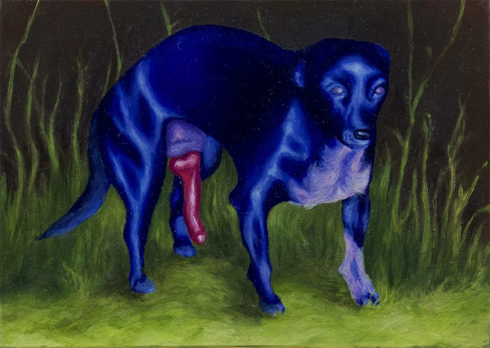 Agnese Bruno, Mondo cane, 2025. Oil on canvas · 25 × 35 cm