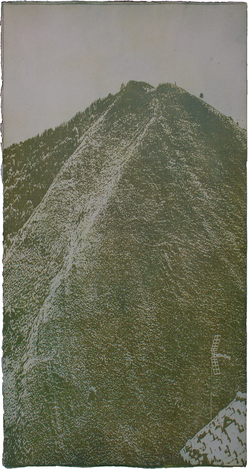 Stefano Minutella, Pastura II, 2025. Etching · 72 × 42 cm