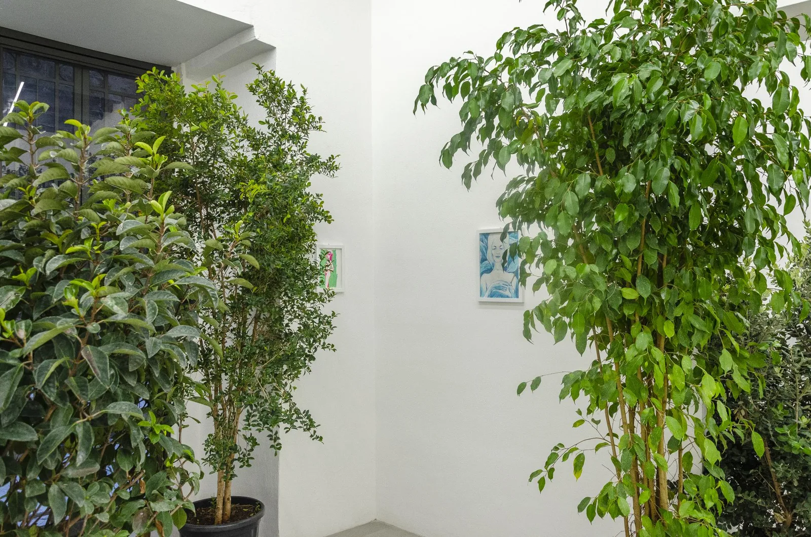 Homo Sapiens Sapiens Sapiens. installation view 13 of 21