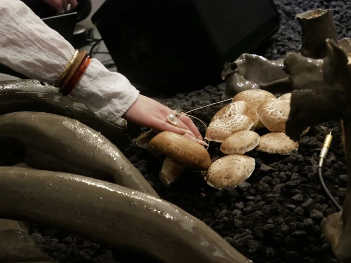 Fungi Orchestra, made with Katharina Maderthaner's students, analysed as a Good Practice by transform.NRW