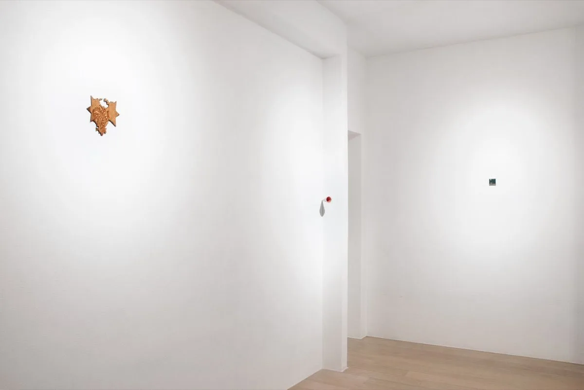 Mattia Barbieri in Microcosmi at Studio la Linea Verticale, Bologna