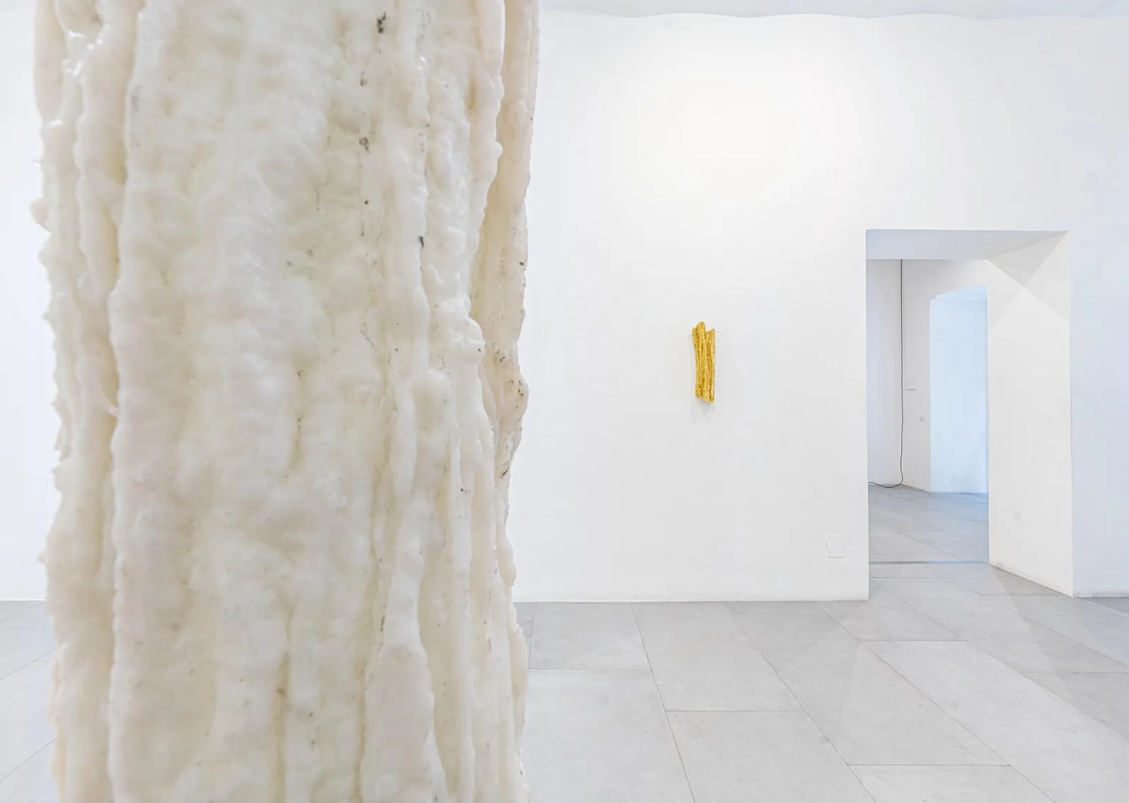 Lunaria. installation view 7 of 7