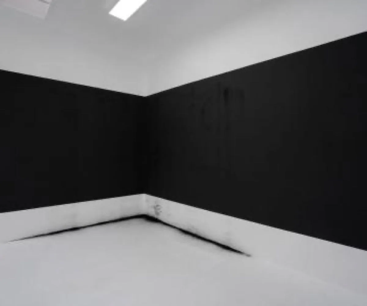 Jáchym Fleig to curate an installation by Jan Stolín at Galerie Junge Kunst, Trier