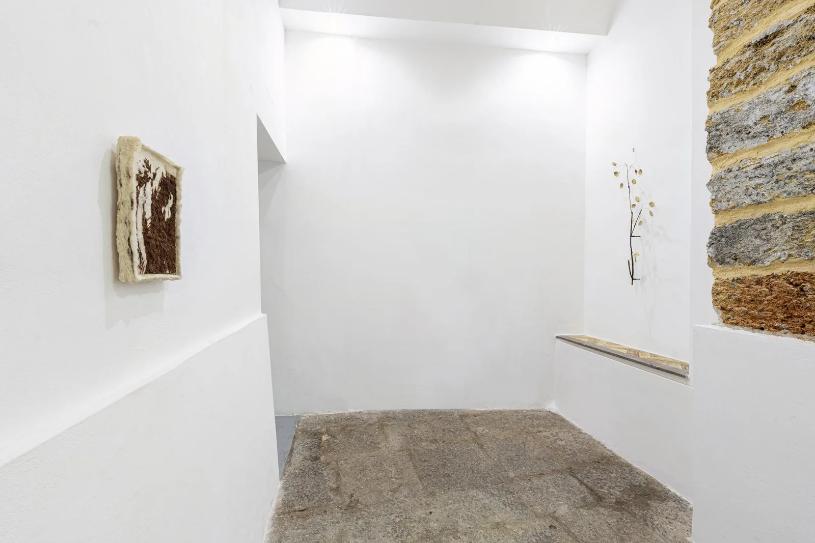 Lunaria. installation view 2 of 7