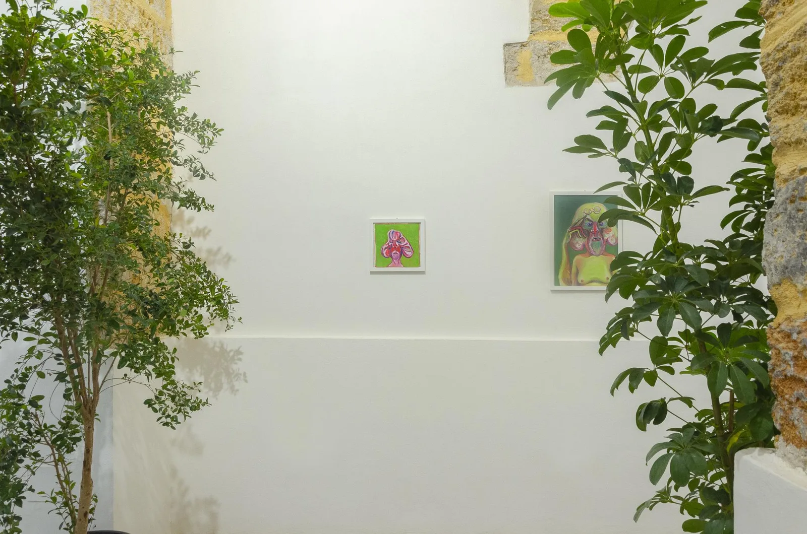 Homo Sapiens Sapiens Sapiens. installation view 10 of 21