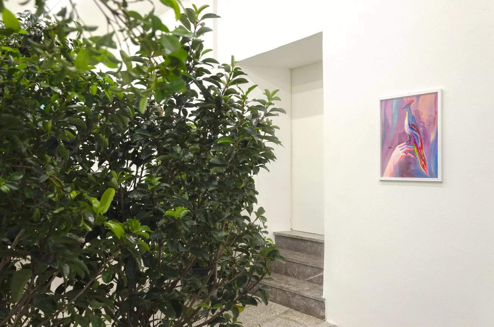Homo Sapiens Sapiens Sapiens. installation view 3 of 21
