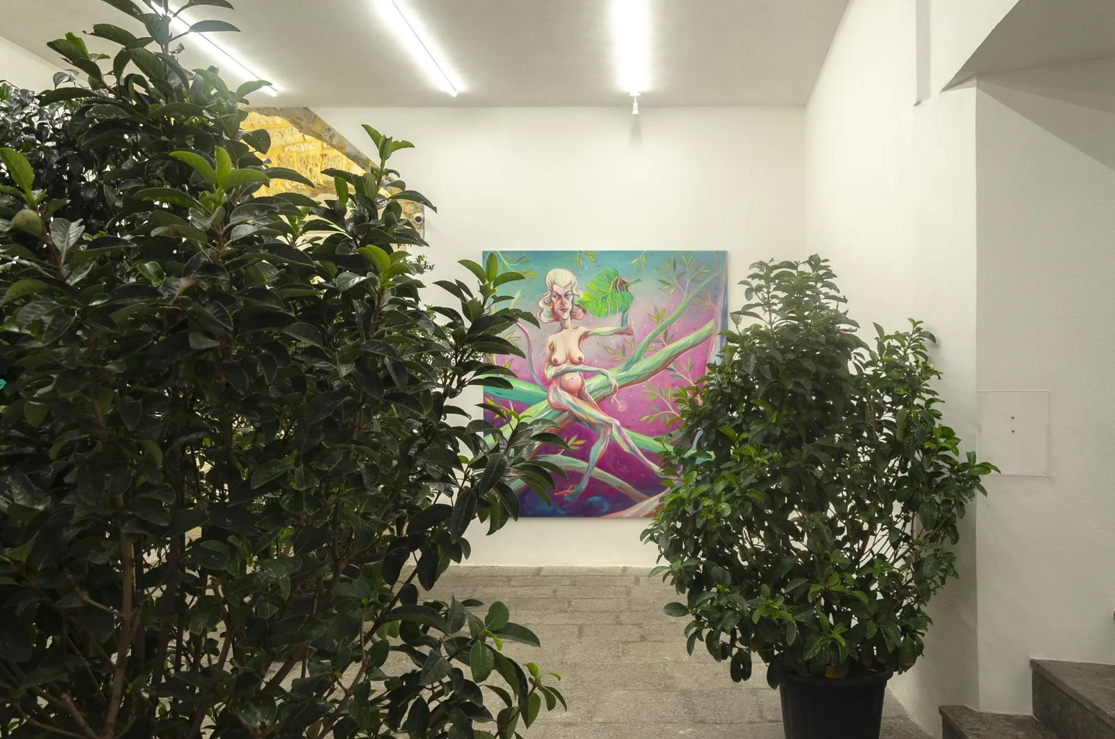 Homo Sapiens Sapiens Sapiens. installation view 2 of 21