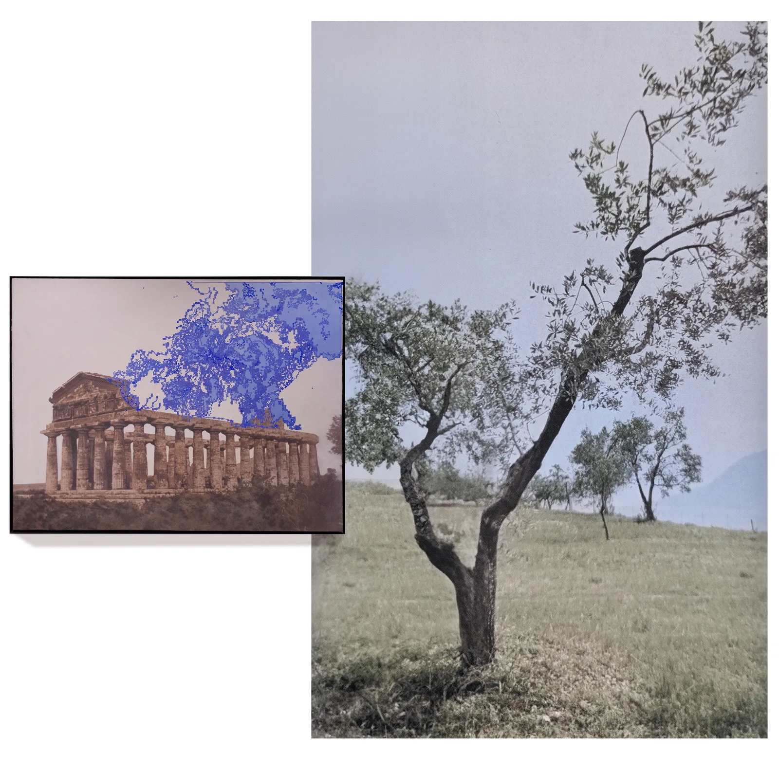 Daniele Franzella, Cerere, 2026. Digital fresco and pigments, Aluminum frame, Print on PVC. · 270 × 260 × 6 cm