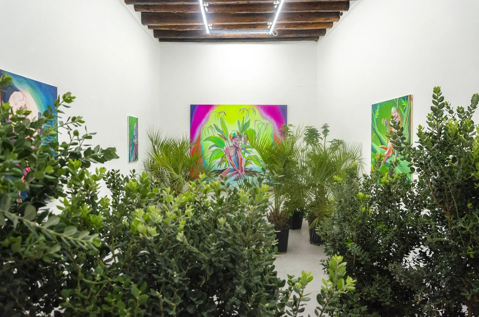 Homo Sapiens Sapiens Sapiens. installation view 21 of 21