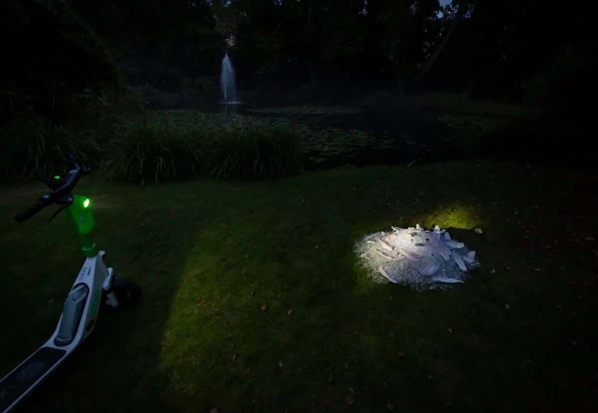 Katharina Maderthaner's installation Pangasius analysed as a Good Practice by transform.NRW